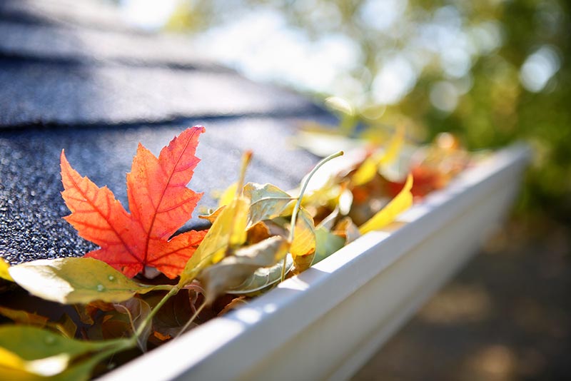 Seamless Gutter Leaf Protection
